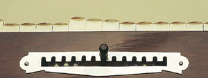 Scale Change 13 Scales